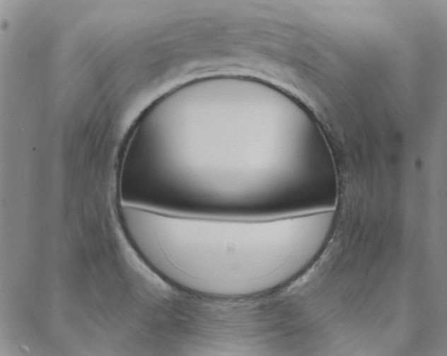 X0000088911518200706080812