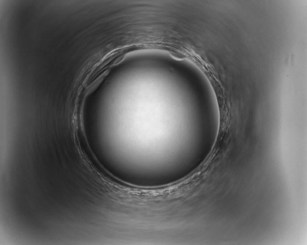 X0000088910002200706081350