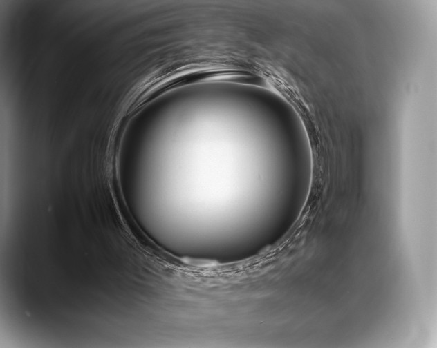 X0000088910003200706081350