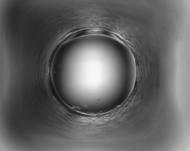 X0000088910005200706081350