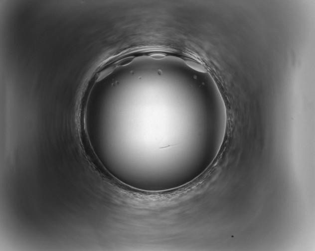 X0000088910006200706081350