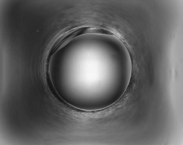 X0000088910007200706081350