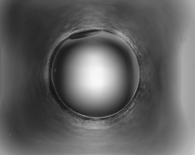 X0000088910008200706081349