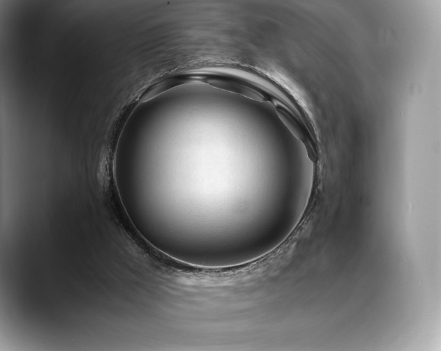 X0000088910009200706081349