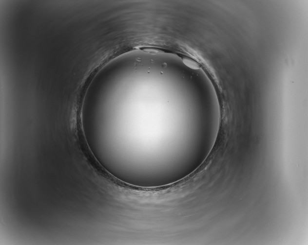 X0000088910010200706081349