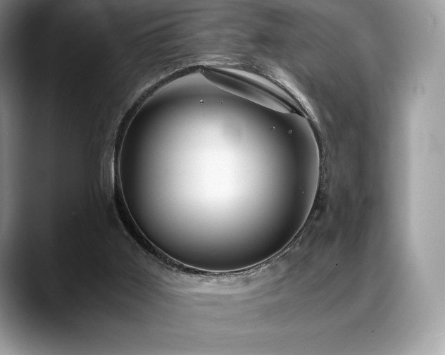 X0000088910011200706081349