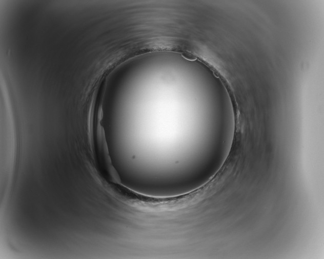 X0000088910013200706081349