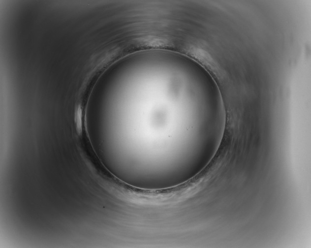X0000088910014200706081349