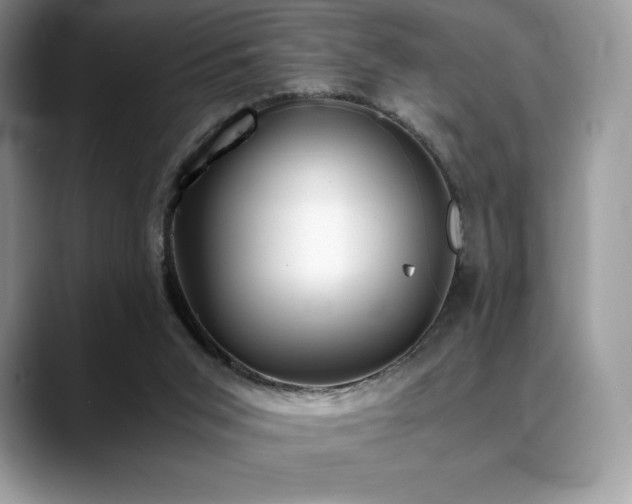 X0000088910015200706081349