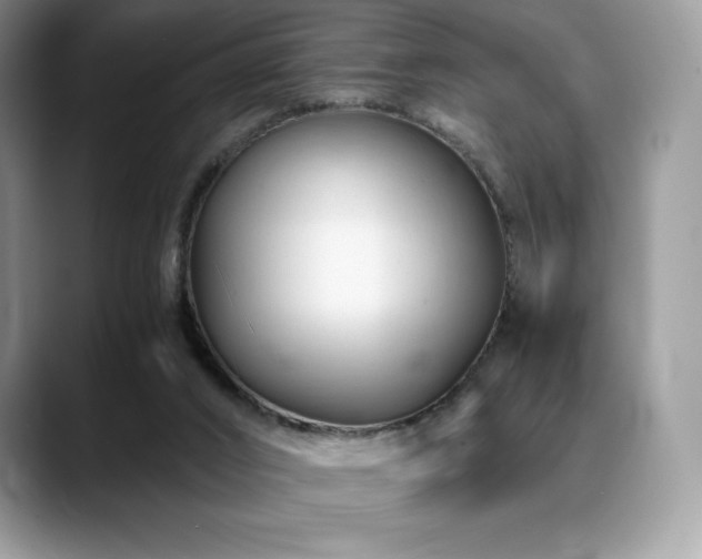 X0000088910016200706081349
