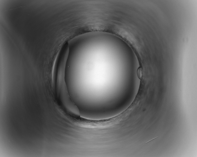 X0000088910017200706081349