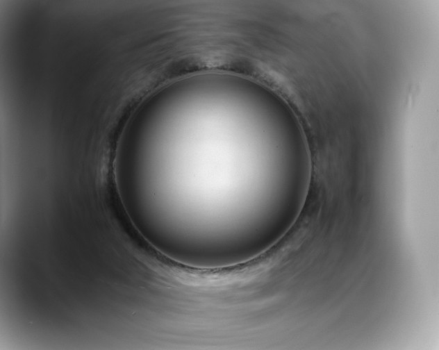 X0000088910018200706081349