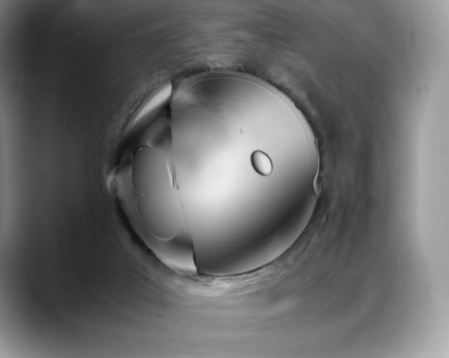 X0000088910019200706081349
