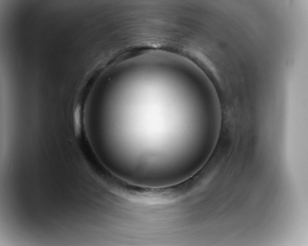 X0000088910020200706081349