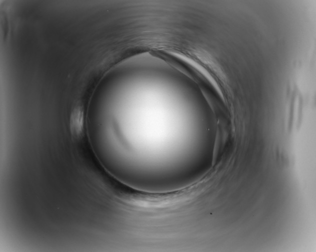 X0000088910021200706081349