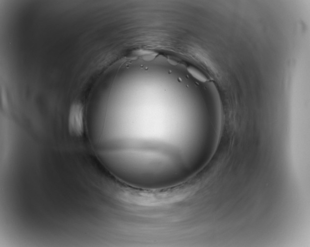 X0000088910022200706081349