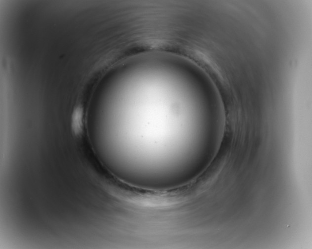 X0000088910024200706081349