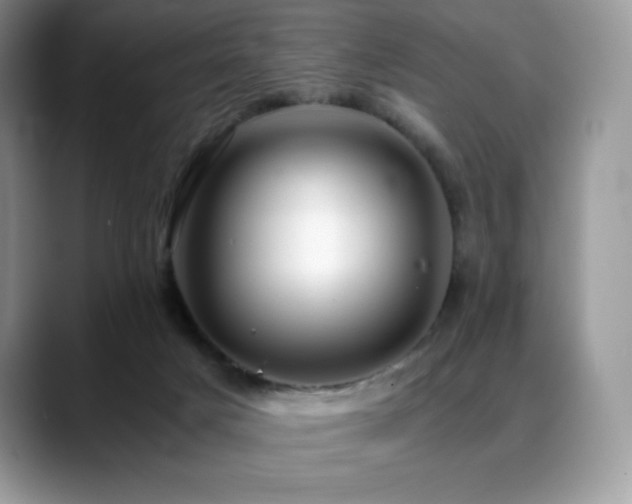 X0000088910025200706081349