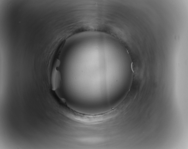X0000088910027200706081349
