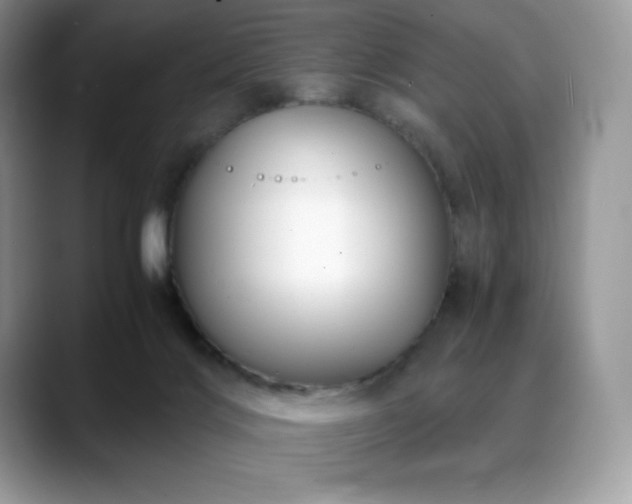 X0000088910028200706081349