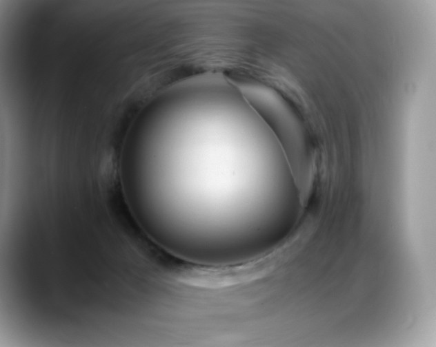X0000088910029200706081349