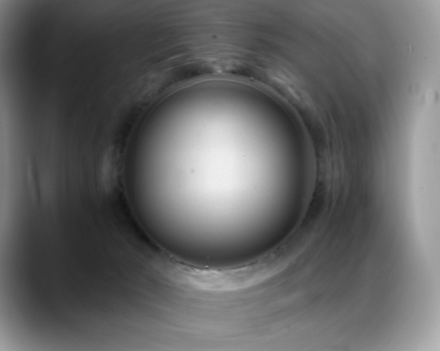 X0000088910030200706081349