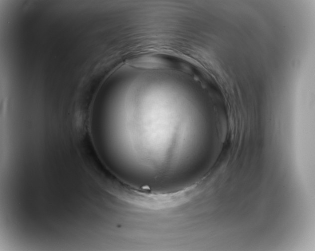 X0000088910031200706081349