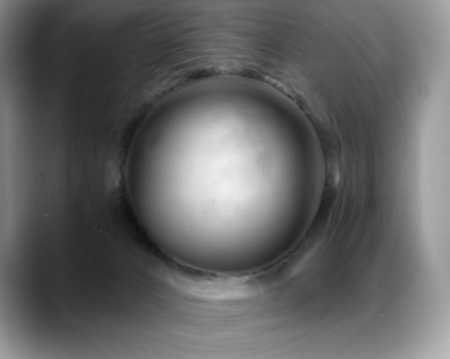 X0000088910032200706081349