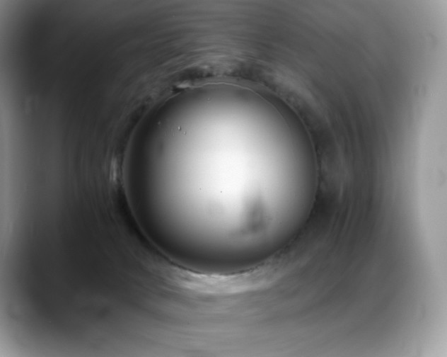 X0000088910034200706081349