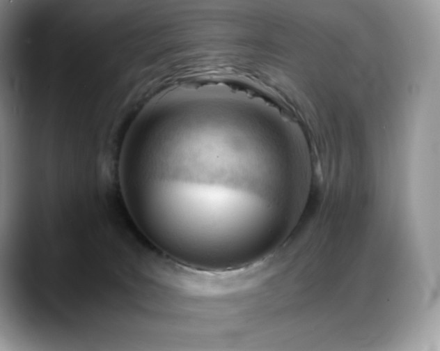 X0000088910035200706081349