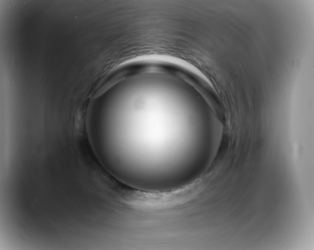 X0000088910037200706081349