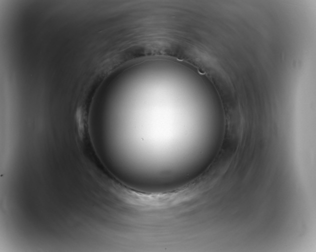 X0000088910038200706081349