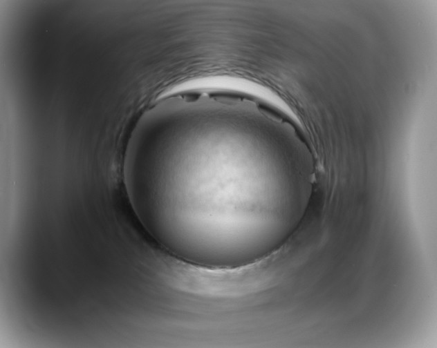 X0000088910039200706081349