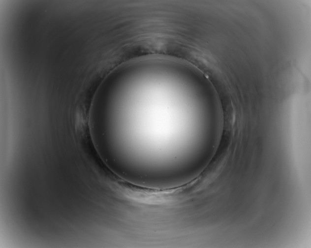 X0000088910040200706081349