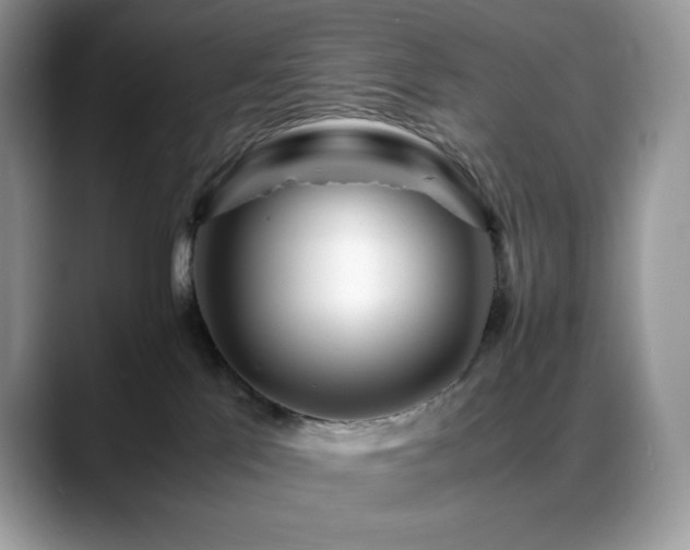 X0000088910041200706081349