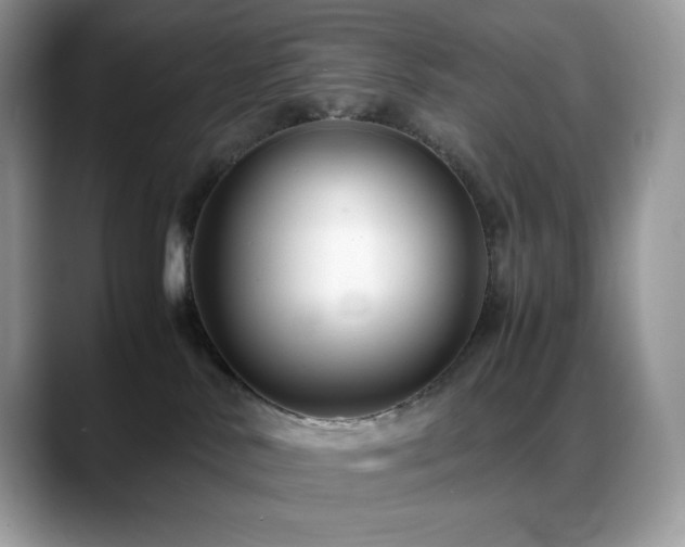 X0000088910042200706081349