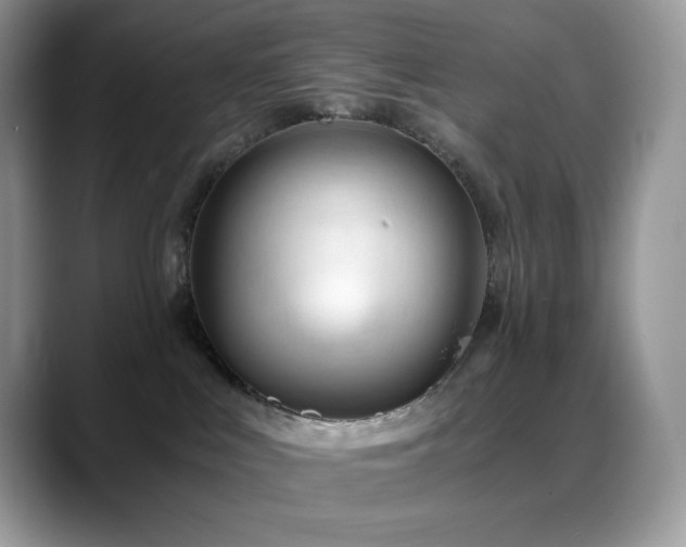 X0000088910043200706081349