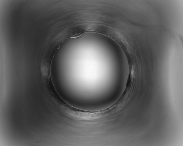 X0000088910044200706081349