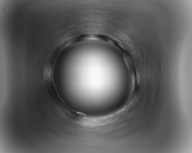X0000088910045200706081349