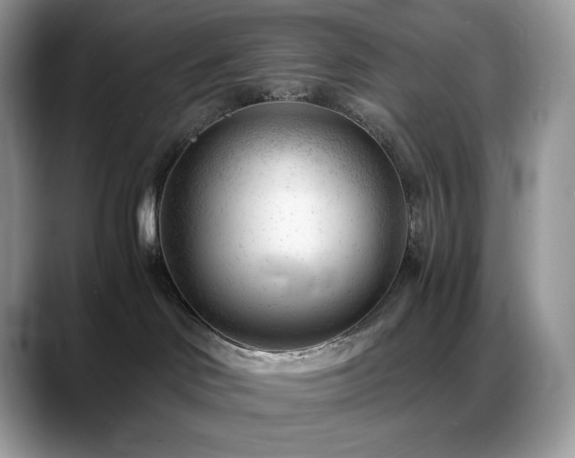 X0000088910046200706081349