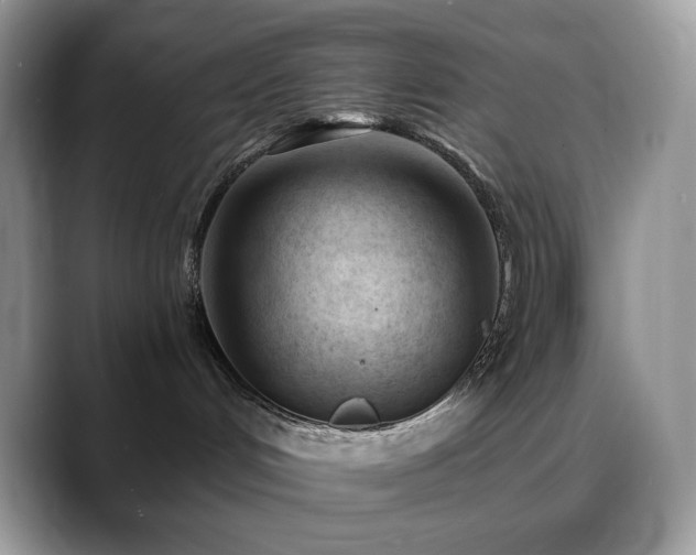X0000088910048200706081349