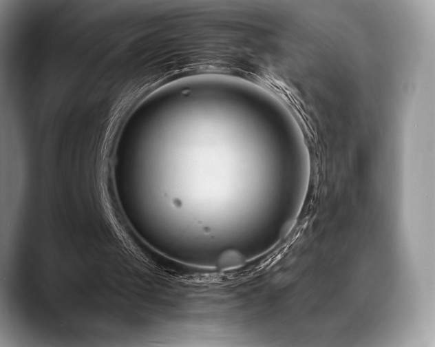 X0000088910049200706081348