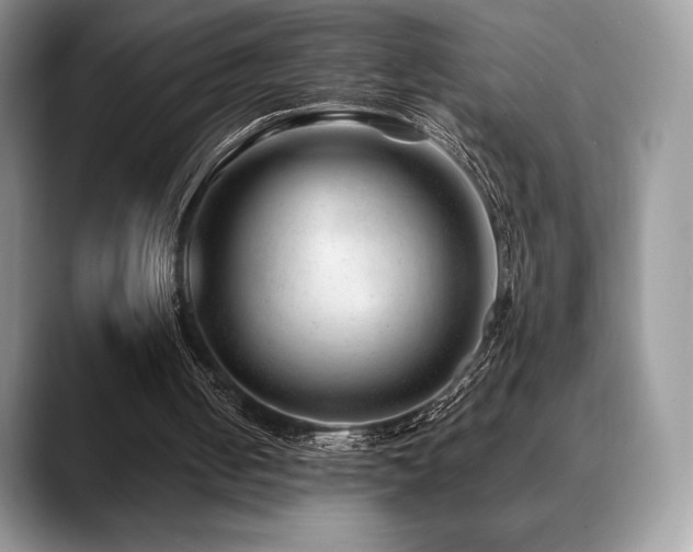 X0000088910050200706081348