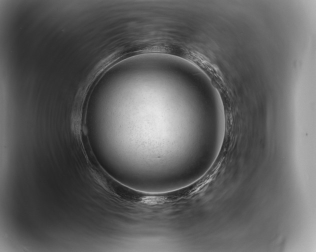 X0000088910051200706081348