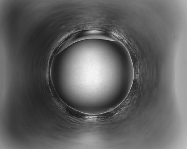 X0000088910052200706081349