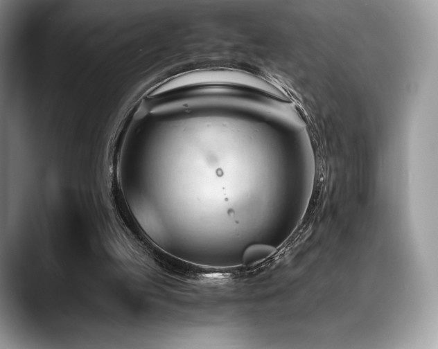 X0000088910053200706081349