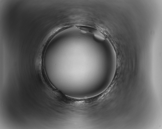 X0000088910054200706081349