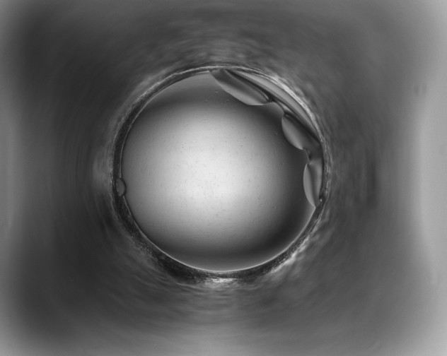 X0000088910055200706081349