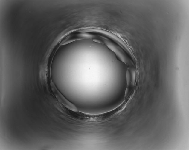X0000088910056200706081349