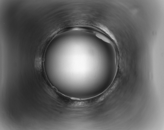 X0000088910057200706081349